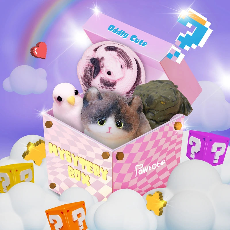 Pawtoto Squishy Blind Box